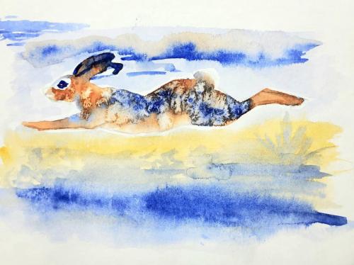 Watercolor desert cottontail rabbit running