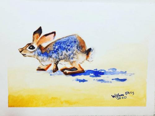 Watercolor desert cottontail rabbit crouching