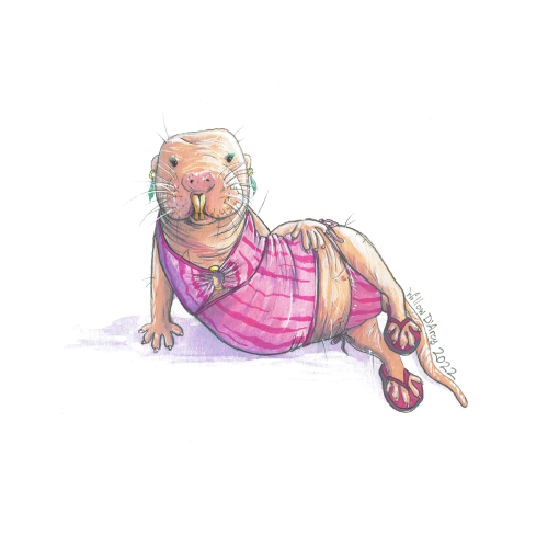 Naked Mole Rat in Pink Bikini - Gouache on Paper 2022 