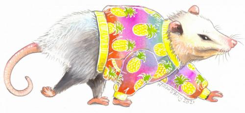 Opossum in Pineapple Jacket