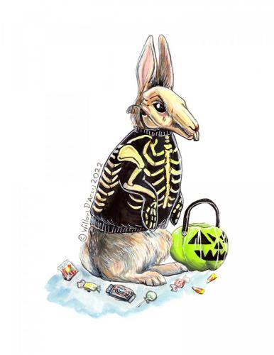 Skelly-Rabbit-For-Web