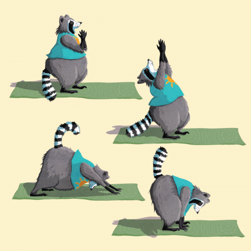 A digital illustration of a fat raccoon in 4 different yoga positions from the Sun Salute. It is wearing a turquoise tshirt. 